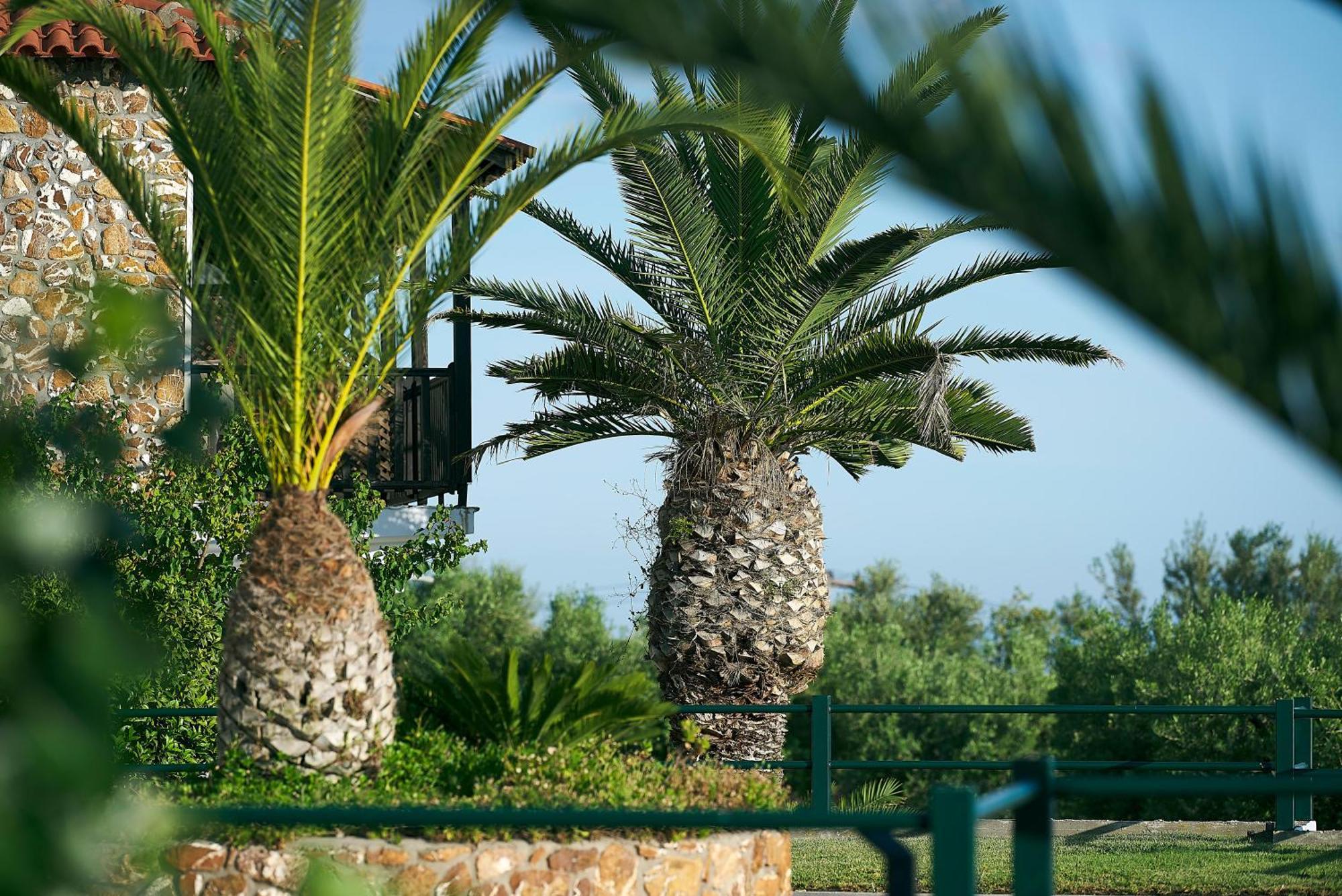 Glavas Inn Hotel Gerakini Exteriér fotografie